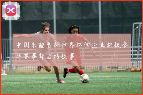 中国未能晋级世界杯但企业积极参与赛事背后的故事